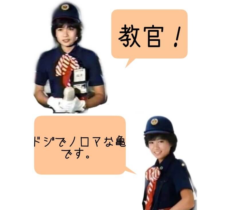 教官！ドジでノロマな亀です。